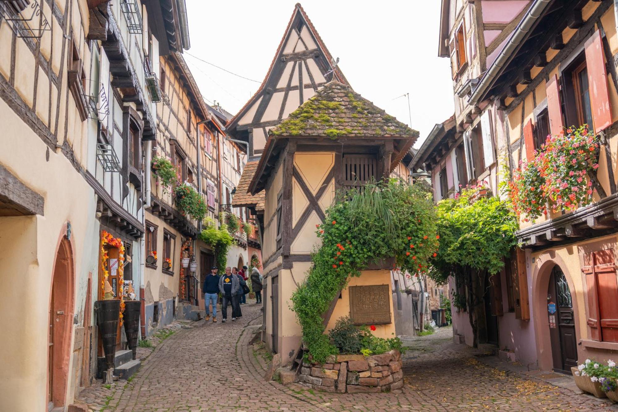 Chambre Rose Des Vents Eguisheim Buitenkant foto