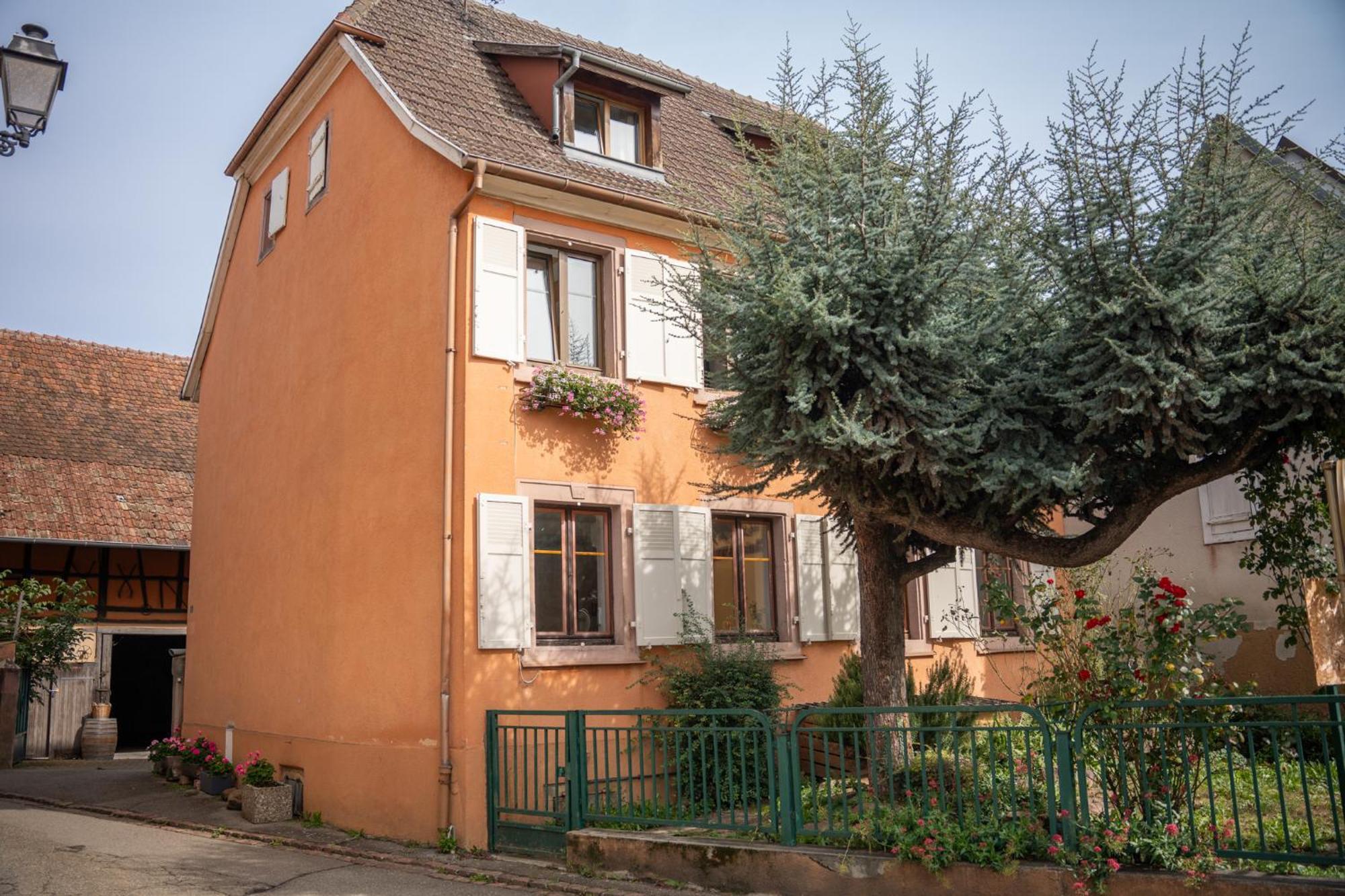 Chambre Rose Des Vents Eguisheim Buitenkant foto